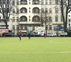 IMG-3441