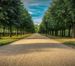 Beautiful Parks in Berlin | Sweet Home